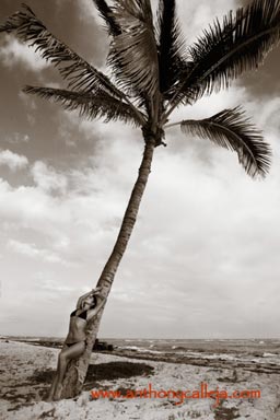 Swimsuit Photographers in Hawaii