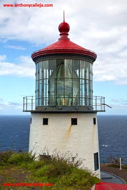 Makapuu Lighthouse, Makapuu Point, Oahu, Hawaii