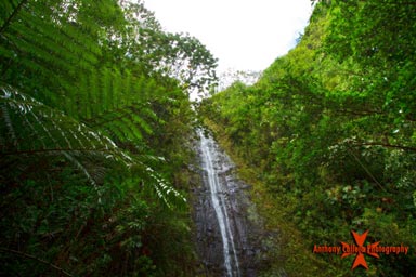 waterfalls of Manoa Oahu Hawaii