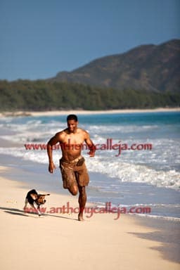 Outdoor pet photography - pet owner running with his pet Beagle on the White sands of Waimanalo Beach, Oahu