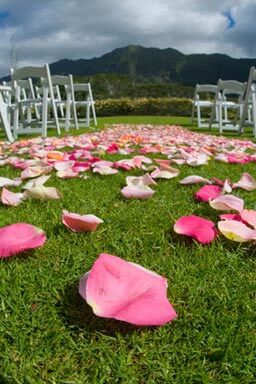 Outdoor Hawaii Wedding Ceremony Flowers Petals in the aisle